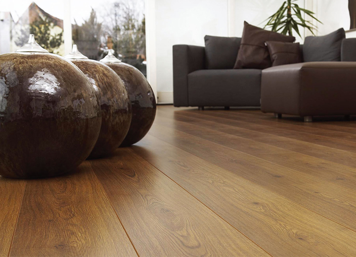 亭亭如蓋，巨樹參天——必美凱得參天大樹加厚系列